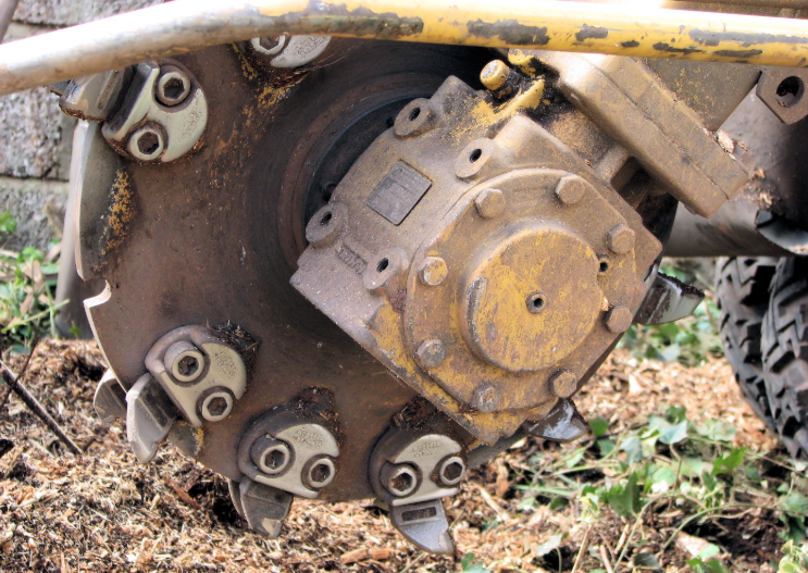 An image of stump grinding service in Camarillo, CA.